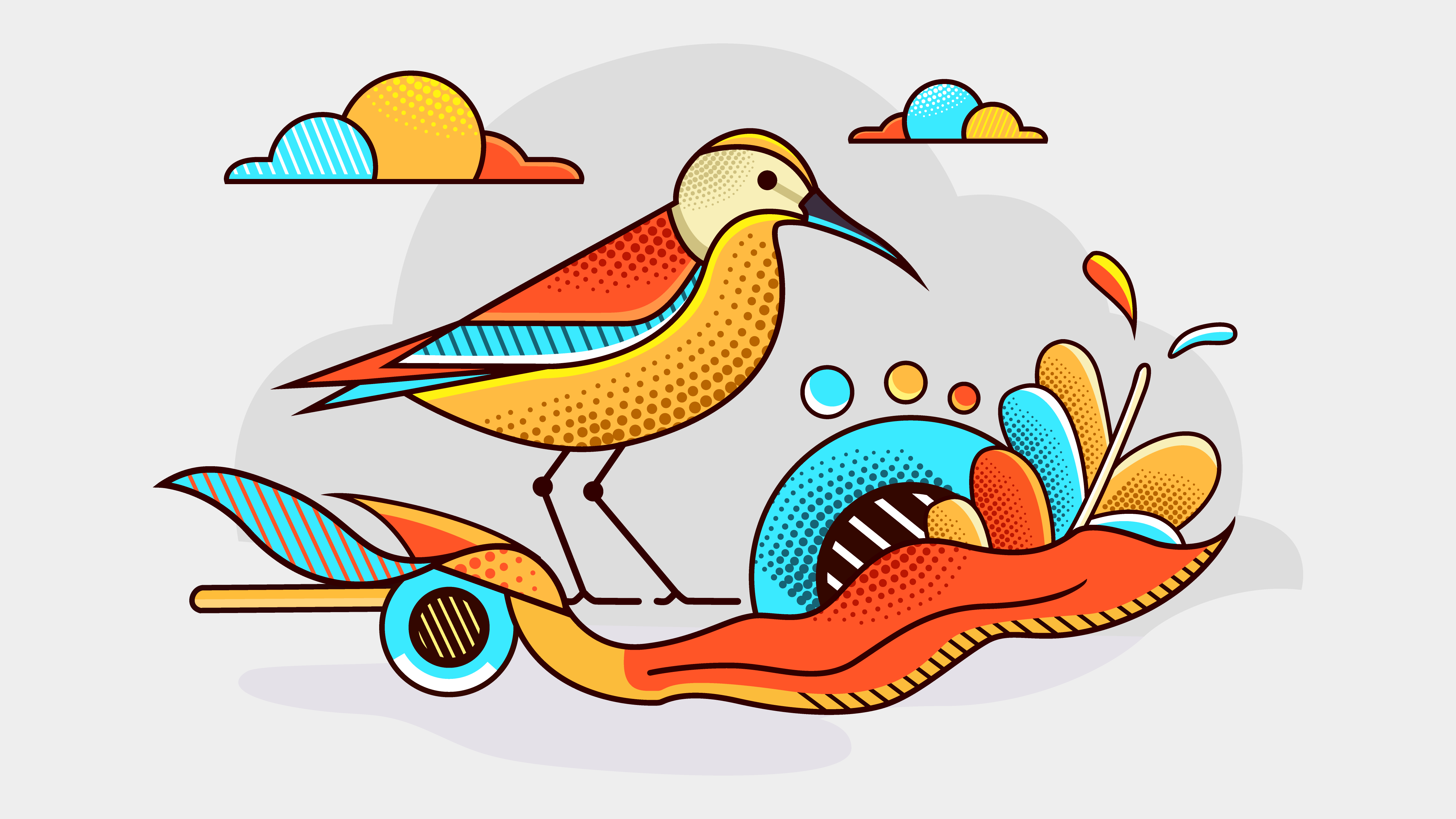 Vector Graphics